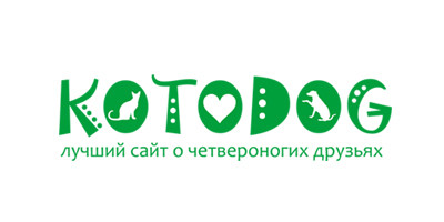 kotodog.kz